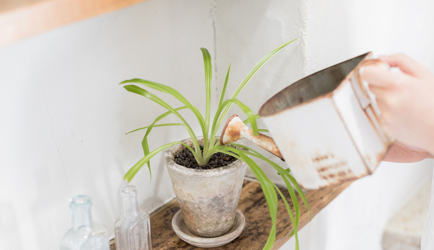 コラムイメージ写真